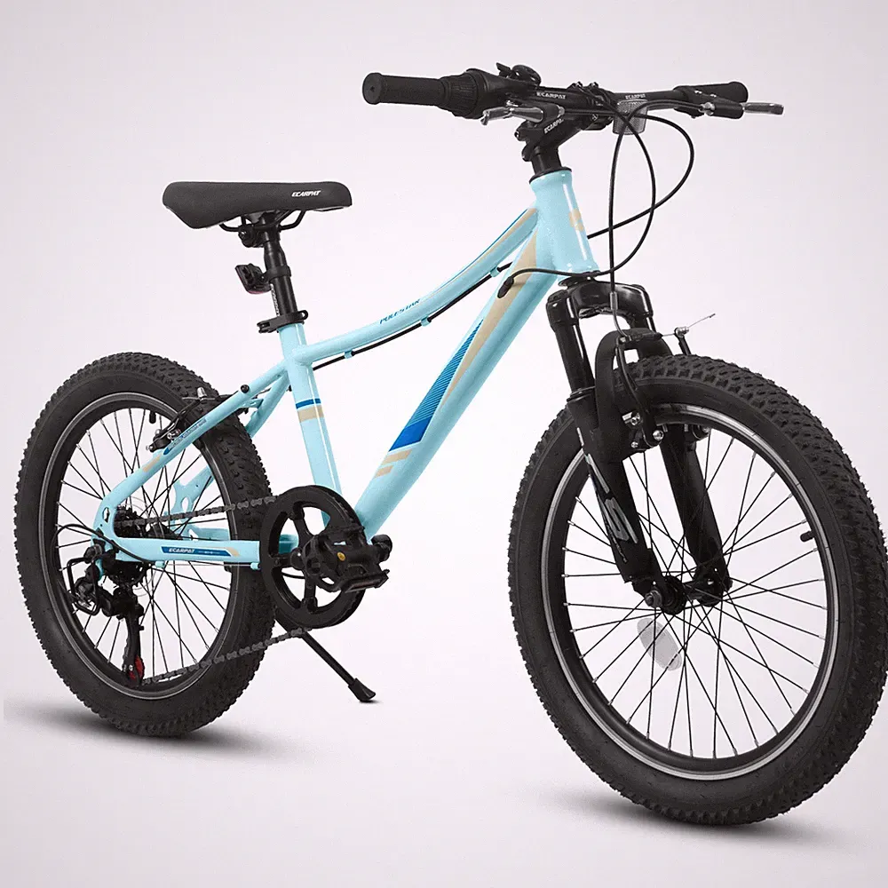 20 inch Children's Bicycle, Shock Absorbing Front Fork 7 - Speed Fat Tire Bike