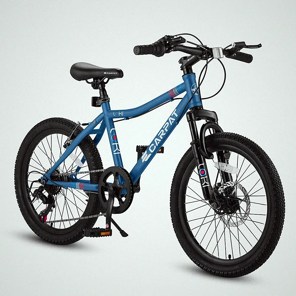 20 inch Kids Montain Bike, Shimano 7 Speed Bicycle for Boys and Girls 8-12,Blue