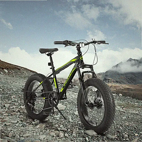 2026 20Inch Fat Tire Bike Youth Full Shimano 7 Speeds Mountain Bike Dual Disc