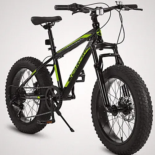 20Inch Fat Tire Bike Youth Boy Full Shimano 7 Speeds Mountain Bike Dual Disc