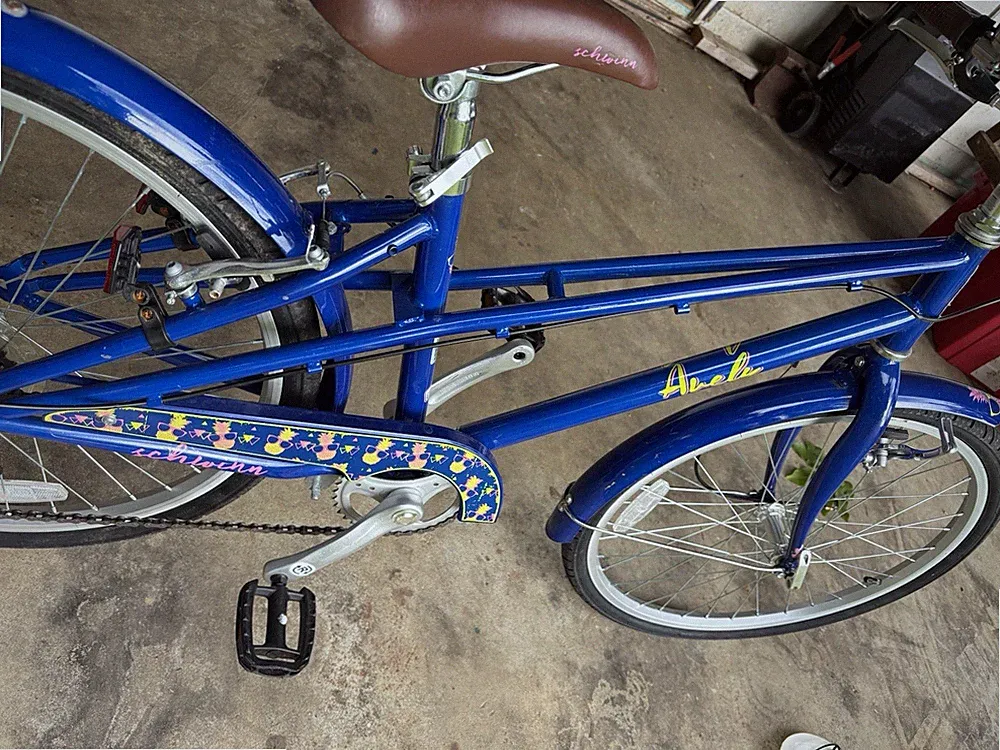 24 In Shwinn Hybrid Girls Bike