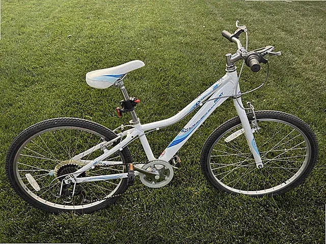 Beautiful girls hybrid bike Giant Revel ALUXX technology 21” Frame 20” wheels