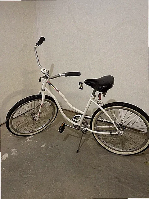 Jamis Bike Girls Earth Cruiser