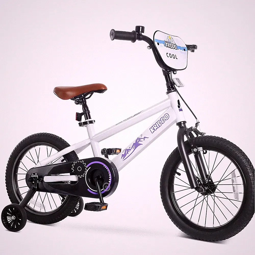 bicycle for girls 14-16