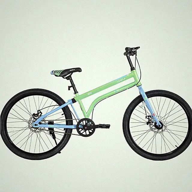 MEGHNA 24"Kids Bicycle for Boys Girls 10+, Single Speed with Dual Disc Brakes GN