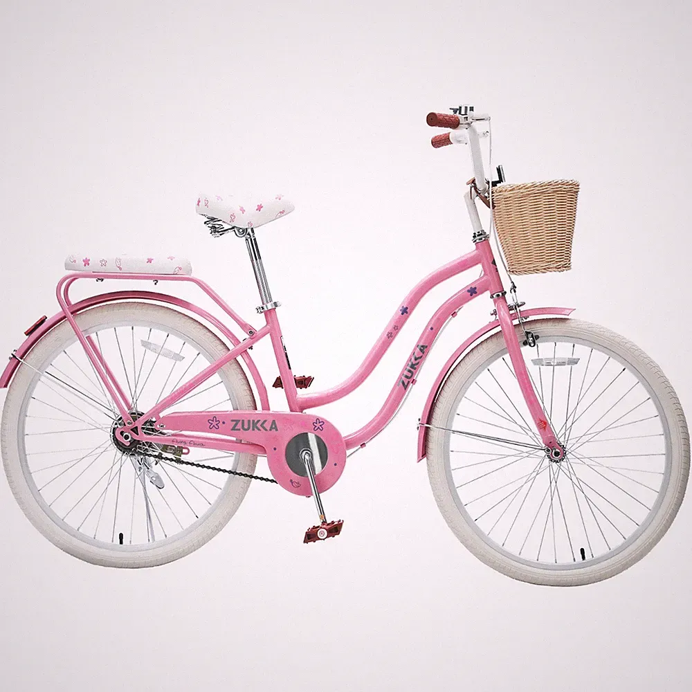 MEGHNA24" Girls Cruiser Bike, Comfort City Bicycle with Basket Dual Brakes,Pink