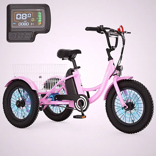 NAIZEA 16" 24V Electric Bike,250W Electric Trike 12.5MPH & 35Miles Long-Range