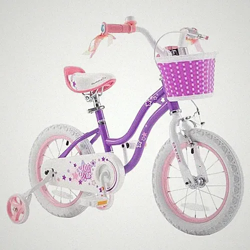 RoyalBaby Girls Bike Classic & EZ Kids Bike Balance and Pedal Bicycle - Amethyst