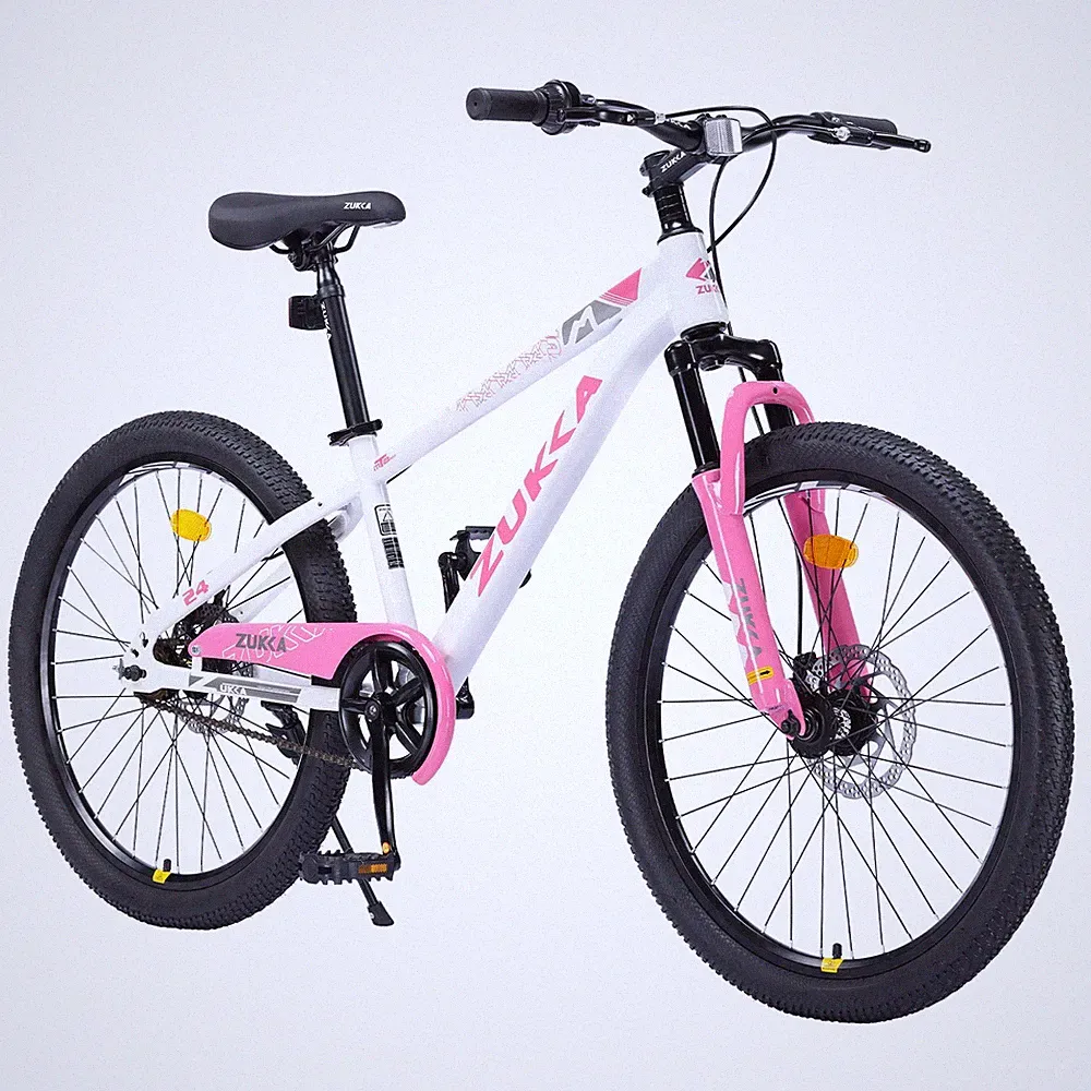 Suspension fork Mountain Bike for Girls and Boys 24 inch 1 Speed,White Pink