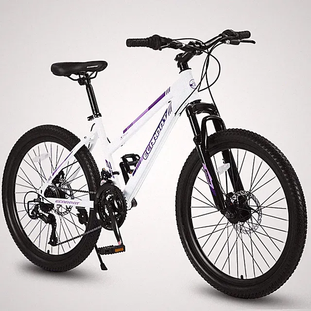 Women's 26 Inch Mountain Bike, 21 Speed Shimano Dual Disc Brake, Suspension